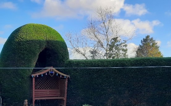 Fine Hedgework After
